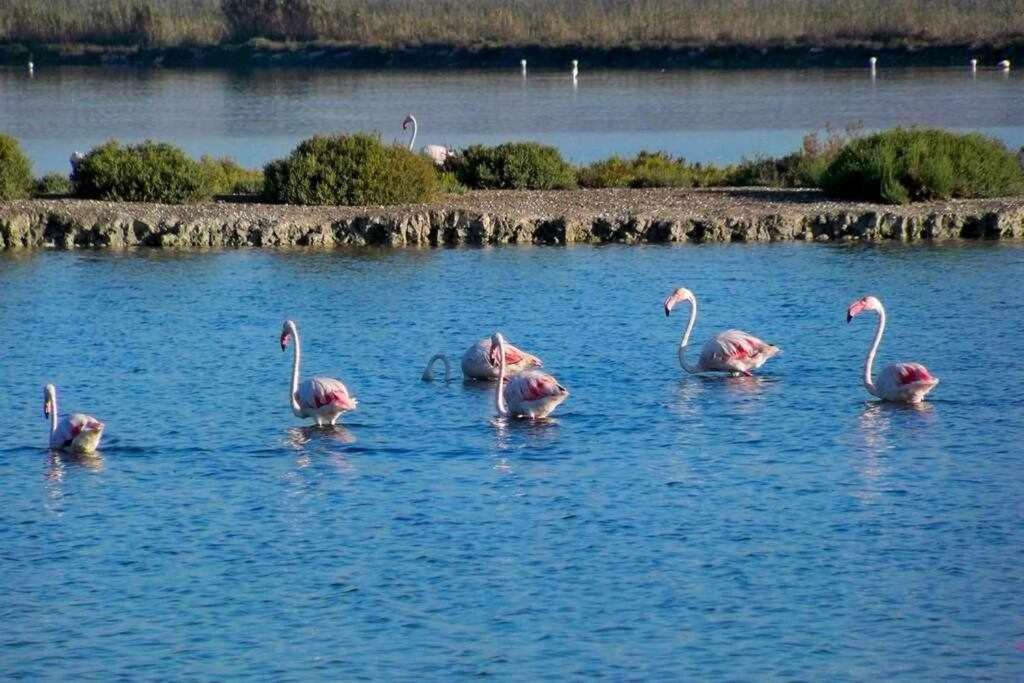 Apartamento Salamanca 38 En Santa Pola Kültér fotó